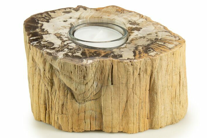 Polished Petrified Wood Candle Holder - Madagascar #338376